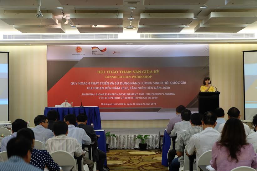 Đức[-]hỗ[-]trợ[-]Việt[-]Nam[-]trong[-]quy[-]hoạch[-]phát[-]triển[-]và[-]sử[-]dụng[-]năng[-]lượng[-]sinh[-]khối[-]quốc[-]gia